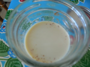 turmeric milk 001