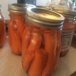 Fermented Carrots